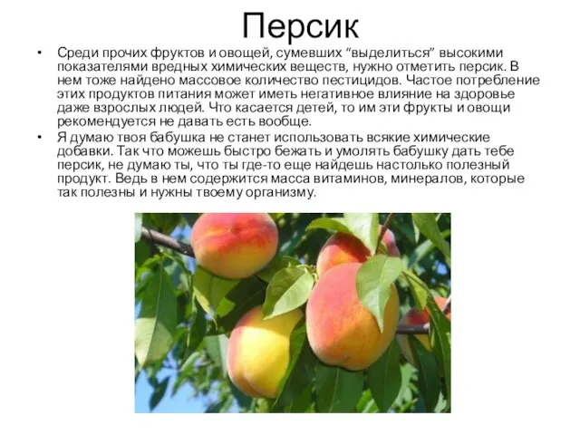 Персик Среди прочих фруктов и овощей, сумевших “выделиться” высокими показателями