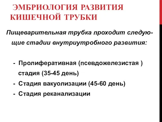 ЭМБРИОЛОГИЯ РАЗВИТИЯ КИШЕЧНОЙ ТРУБКИ Пищеварительная трубка проходит следую- щие стадии