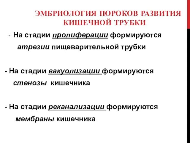 ЭМБРИОЛОГИЯ ПОРОКОВ РАЗВИТИЯ КИШЕЧНОЙ ТРУБКИ - На стадии пролиферации формируются