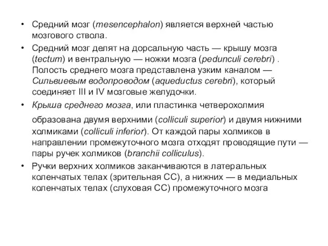 Средний мозг (mesencephalon) является верхней частью мозгового ствола. Средний мозг