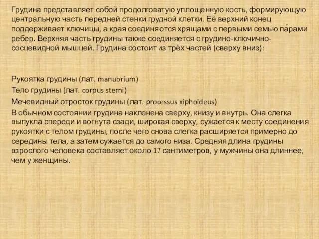 Грудина представляет собой продолговатую уплощенную кость, формирующую центральную часть передней