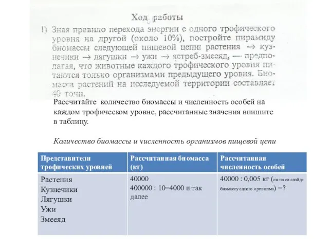 Рассчитайте количество биомассы и численность особей на каждом трофическом уровне,