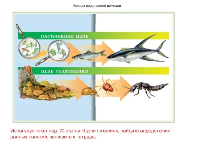 Используя текст пар. 70 статья «Цепи питания», найдите определения данных понятий, запишите в тетрадь.