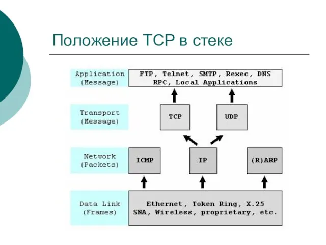 Положение ТCP в стеке