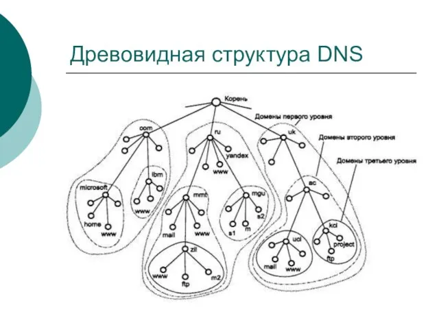 Древовидная структура DNS