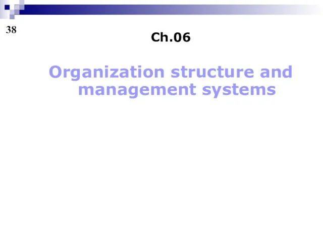 Ch.06 Organization structure and management systems 38