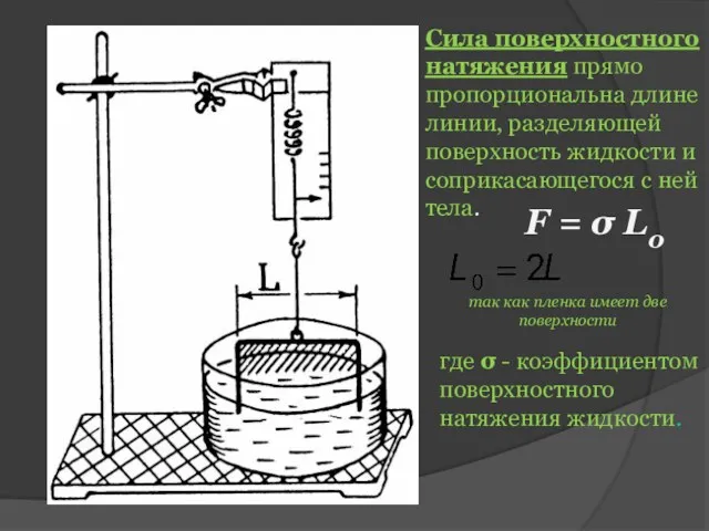 Сила поверхностного натяжения прямо пропорциональна длине линии, разделяющей поверхность жидкости