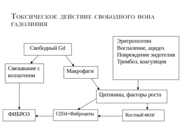 Токсическое действие свободного иона гадолиния