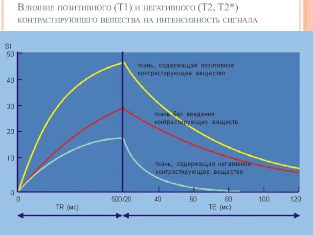 Влияние позитивного (Т1) и негативного (Т2, Т2*) контрастирующего вещества на интенсивность сигнала