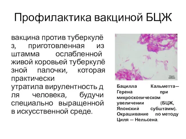 Профилактика вакциной БЦЖ вакцина против туберкулёз, приготовленная из штамма ослабленной