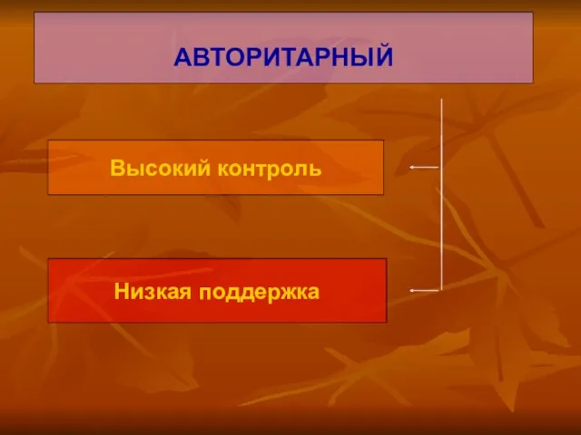 АВТОРИТАРНЫЙ Высокий контроль Низкая поддержка