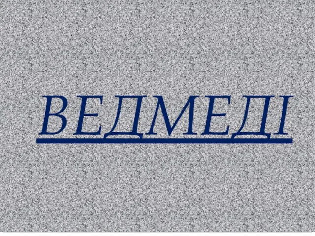 ВЕДМЕДІ