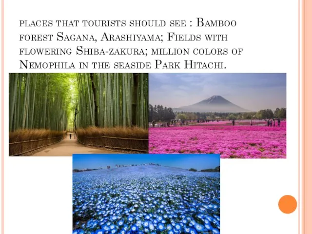 places that tourists should see : Bamboo forest Sagana, Arashiyama;