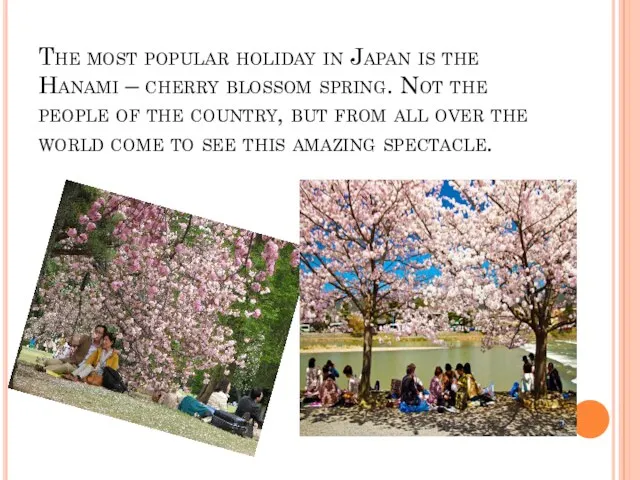 The most popular holiday in Japan is the Hanami –