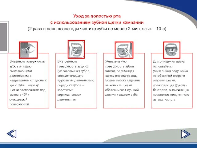 Уход за полостью рта с использованием зубной щетки компании (2 раза в день