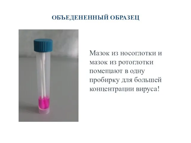 ОБЪЕДЕНЕННЫЙ ОБРАЗЕЦ Мазок из носоглотки и мазок из ротоглотки помещают