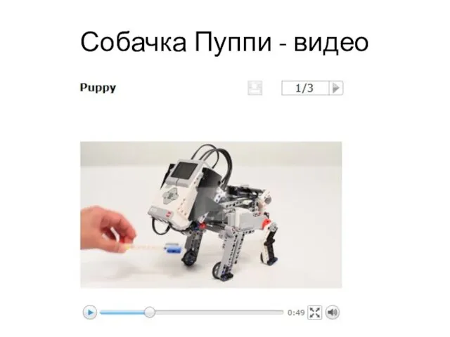 Собачка Пуппи - видео