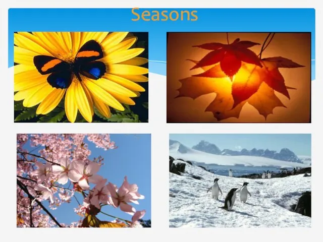 Seasons