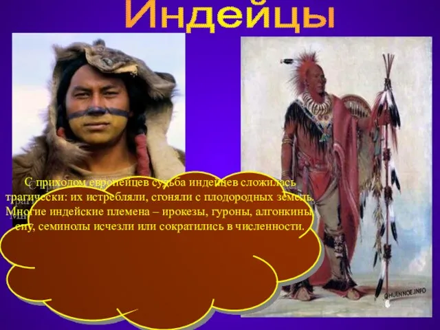 Индейцы С приходом европейцев судьба индейцев сложилась трагически: их истребляли,