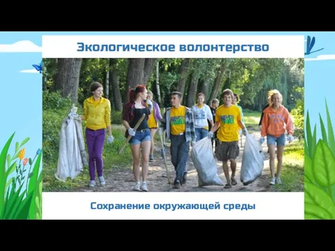 Экологическое волонтерство Сохранение окружающей среды