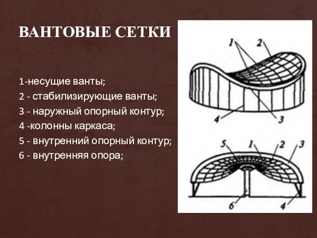 ВАНТОВЫЕ СЕТКИ 1-несущие ванты; 2 - стабилизирующие ванты; 3 -