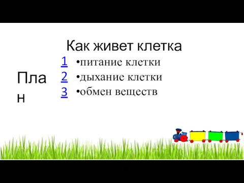 Как живет клетка План питание клетки дыхание клетки обмен веществ 1 2 3