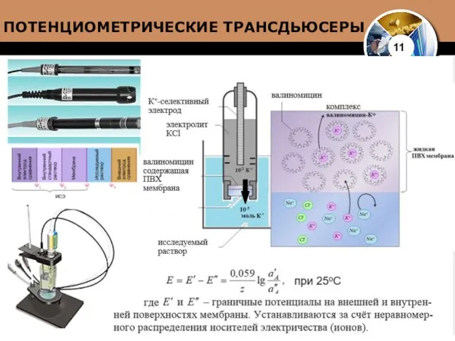 11 ПОТЕНЦИОМЕТРИЧЕСКИЕ ТРАНСДЬЮСЕРЫ