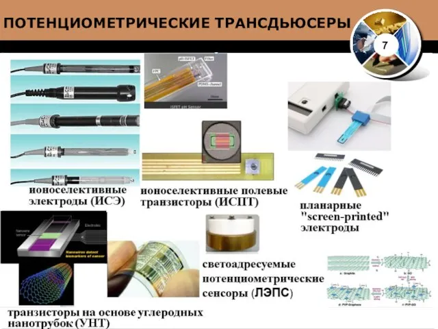 7 ПОТЕНЦИОМЕТРИЧЕСКИЕ ТРАНСДЬЮСЕРЫ транзисторы на основе углеродных нанотрубок (УНТ)