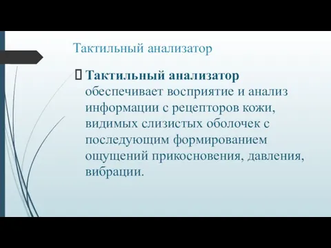 Тактильный анализатор Тактильный анализатор обеспечивает восприятие и анализ информации с рецепторов кожи, видимых