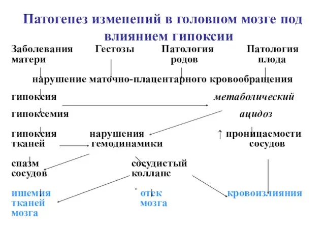 Патогенез изменений в головном мозге под влиянием гипоксии Заболевания Гестозы