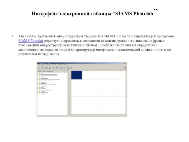 Интерфейс электронной таблицы “SIAMS Photolab” Анализатор фрагментов микроструктуры твердых тел SIAMS 700 на