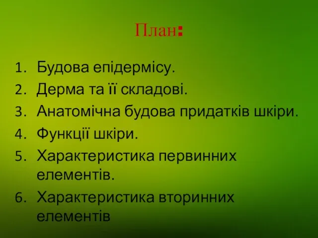 План: Будова епідермісу. Дерма та її складові. Анатомічна будова придатків