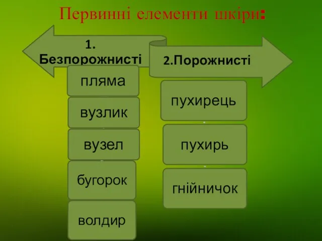 Первинні елементи шкіри: