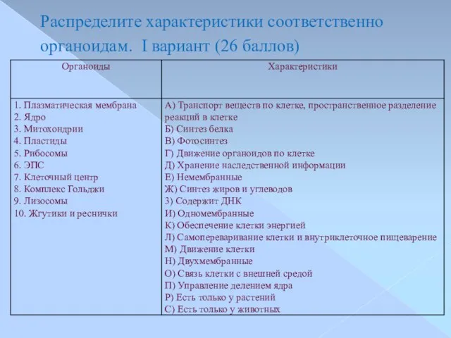 Распределите характеристики соответственно органоидам. I вариант (26 баллов)