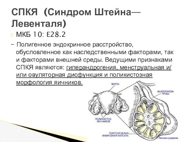 МКБ 10: E28.2 – Полигенное эндокринное расстройство, обусловленное как наследственными