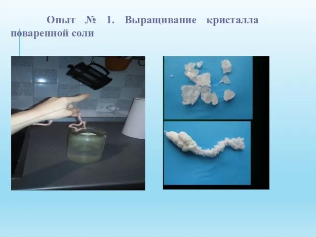 Опыт № 1. Выращивание кристалла поваренной соли