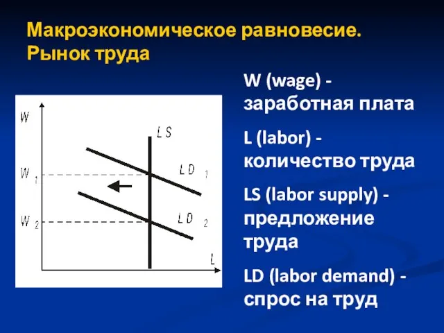 Макроэкономическое равновесие. Рынок труда W (wage) - заработная плата L