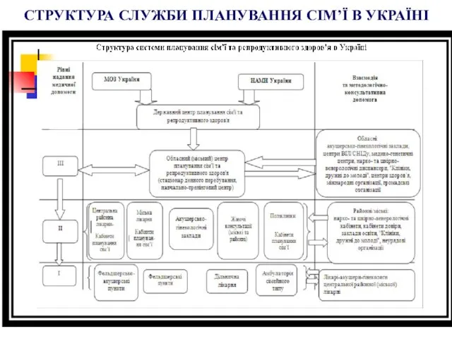 СТРУКТУРА СЛУЖБИ ПЛАНУВАННЯ СІМ’Ї В УКРАЇНІ