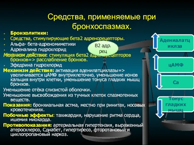 Средства, применяемые при бронхоспазмах. Бронхолитики: Средства, стимулирующие бета2 адренорецепторы. Альфа-