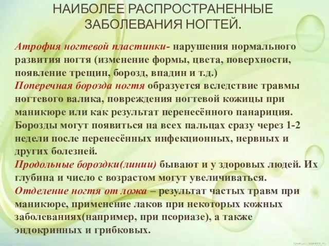 НАИБОЛЕЕ РАСПРОСТРАНЕННЫЕ ЗАБОЛЕВАНИЯ НОГТЕЙ. Атрофия ногтевой пластинки- нарушения нормального развития