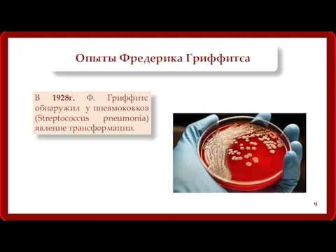 Опыты Фредерика Гриффитса В 1928г. Ф. Гриффитс обнаружил у пневмококков (Streptococcus pneumonia) явление трансформации. 9