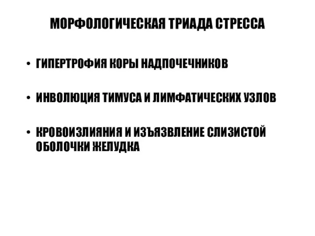 МОРФОЛОГИЧЕСКАЯ ТРИАДА СТРЕССА ГИПЕРТРОФИЯ КОРЫ НАДПОЧЕЧНИКОВ ИНВОЛЮЦИЯ ТИМУСА И ЛИМФАТИЧЕСКИХ