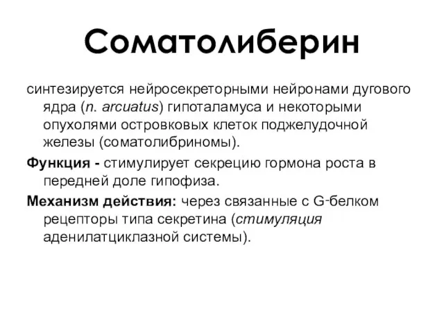 Соматолиберин синтезируется нейросекреторными нейронами дугового ядра (n. arcuatus) гипоталамуса и