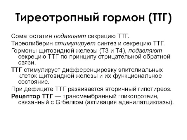 Тиреотропный гормон (ТТГ) Соматостатин подавляет секрецию ТТГ. Тиреолиберин стимулирует синтез