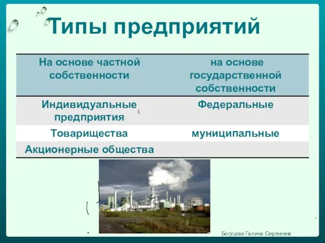 Типы предприятий * Богуцкая Галина Сергеевна