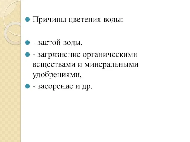 Причины цветения воды: - застой воды, - загрязнение органическими веществами