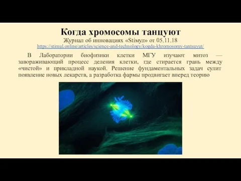 Когда хромосомы танцуют Журнал об инновациях «Stiмул» от 05.11.18 https://stimul.online/articles/science-and-technology/kogda-khromosomy-tantsuyut/ В Лаборатории биофизики