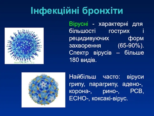 Інфекційні бронхіти Вірусні - характерні для більшості гострих і рецидивуючих