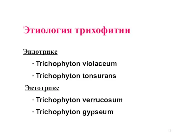 Этиология трихофитии Эндотрикс ∙ Trichophyton violaceum ∙ Trichophyton tonsurans Эктотрикс ∙ Trichophyton verrucosum ∙ Trichophyton gypseum