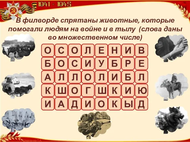 В филворде спрятаны животные, которые помогали людям на войне и